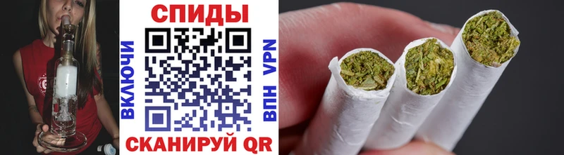 Бутират буратино  Липки 