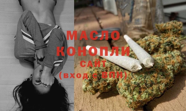 хмурый Корсаков