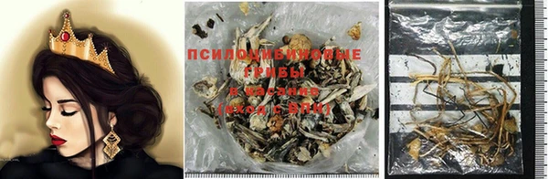 apvp Кодинск
