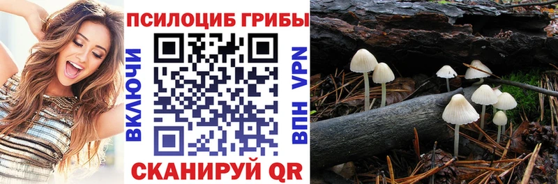 Псилоцибиновые грибы MAGIC MUSHROOMS Липки