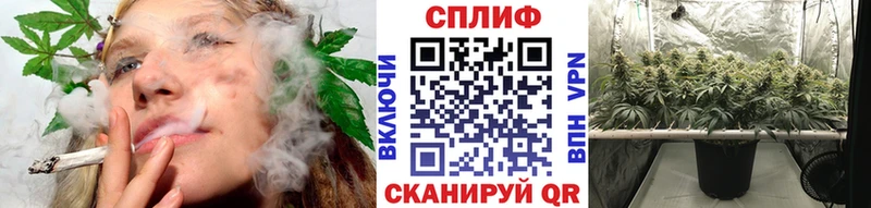 Бошки марихуана семена  Липки 